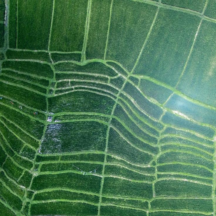 Family terraces and cafés for calm evenings in Zürich